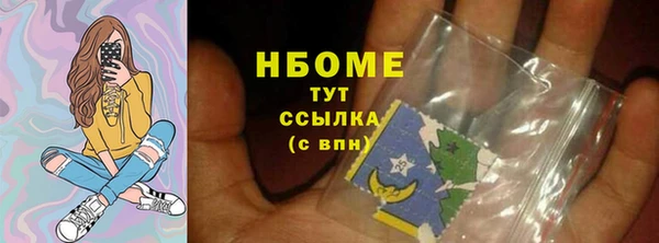 прущие грибы Абаза