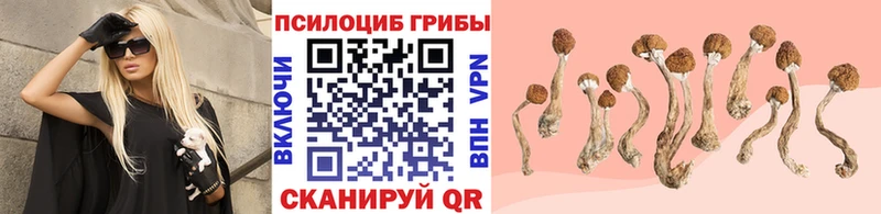 где можно купить наркотик Лысьва Псилоцибиновые грибы мицелий