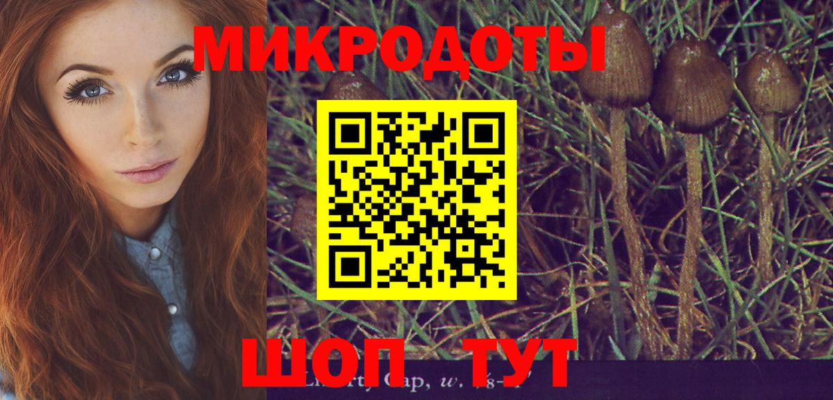 Галлюциногенные грибы Psilocybe Лысьва